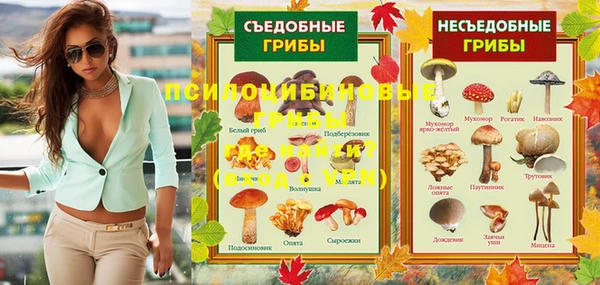 эйфоретик Алзамай