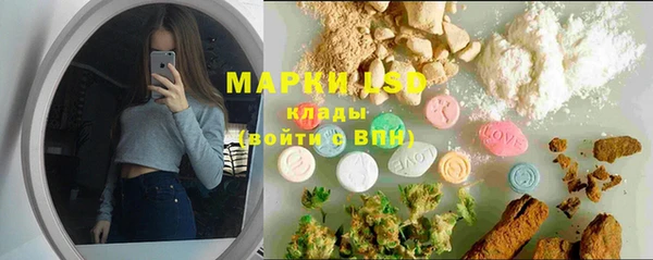 гашик Бикин